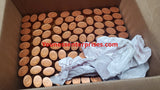 Lot Of Travel Size Garnier Shampoo 81Pcs
