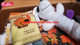 Shopify Auction Lot Of Assorted Halloween Merchandise 72Pcs-766013-508461