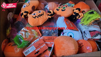 Shopify Auction (03/02/22 Auction) Lot Of Assorted Halloween Merchandise 100Pcs-550845-328400