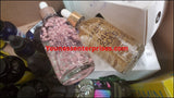 Shopify Auction Lot Of Assorted Personal Care 44Pcs-1256725-937930